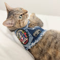 Load image into Gallery viewer, 9 Lives Harness
