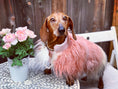 Load image into Gallery viewer, Mink Faux-Fur Vest - BELLA ROSE
