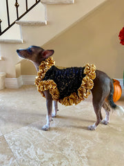 C’Mimi Designer Couture “Cleopatra” Dog Party Dress