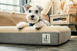 Deep Sleep Orthopedic Dog Bed