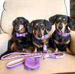 BOW TIE - LAVISH LAVENDER