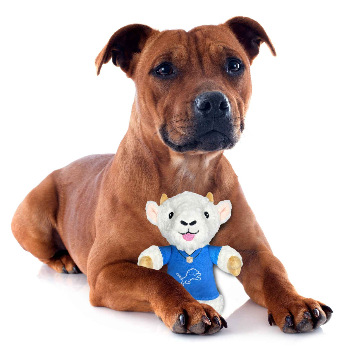 Aidan Hutchinson (Det) Goat Plush Toy