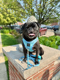 Load image into Gallery viewer, 3-in-1 City Dog Leash - Ocean 
