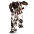 Load image into Gallery viewer, Alabama Hard Nylon Football Chew Toy
