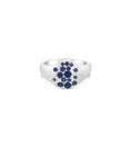 Load image into Gallery viewer, OLIVE & CHAIN Sapphire Celestial Pinky Ring - Yellow Gold, 4.0
