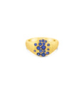 Load image into Gallery viewer, OLIVE & CHAIN Sapphire Celestial Pinky Ring - Yellow Gold, 3.5
