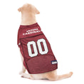 Load image into Gallery viewer, NFL Arizona Cardinals Striped Mesh Dog Jersey
