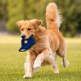 Load image into Gallery viewer, Houston Astros Baseball Cap Tough Toy
