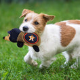 Load image into Gallery viewer, Houston Astros Plush Hedgehog Toy
