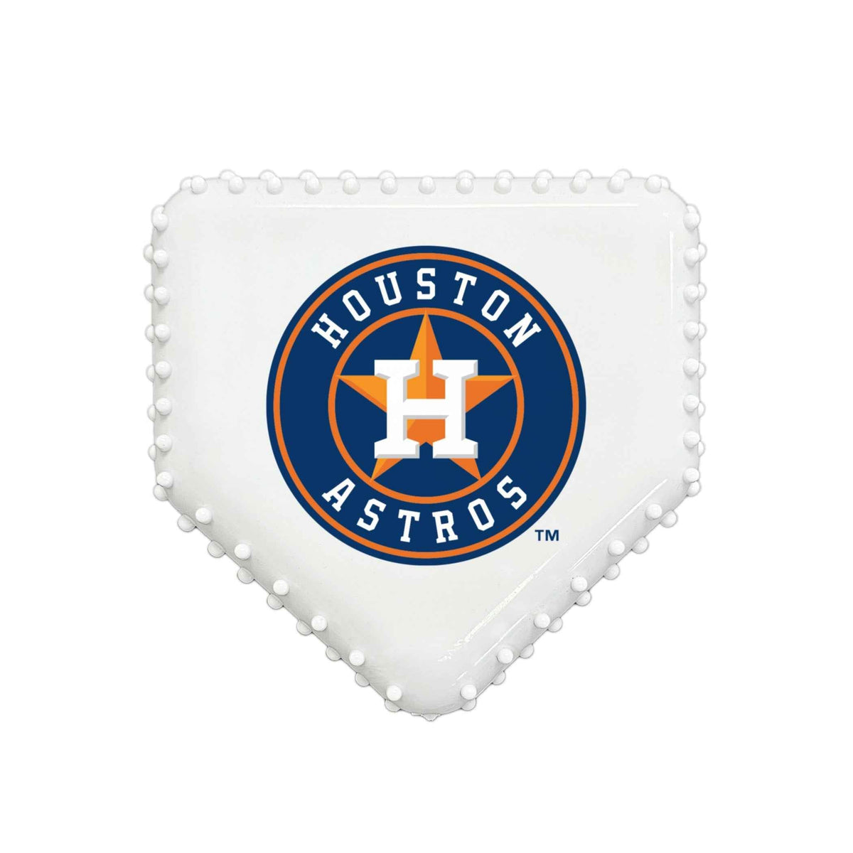 Houston Astros Hard Nylon Homeplate Chew Toy