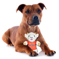 Load image into Gallery viewer, Houston Astros Plush Goat Toy
