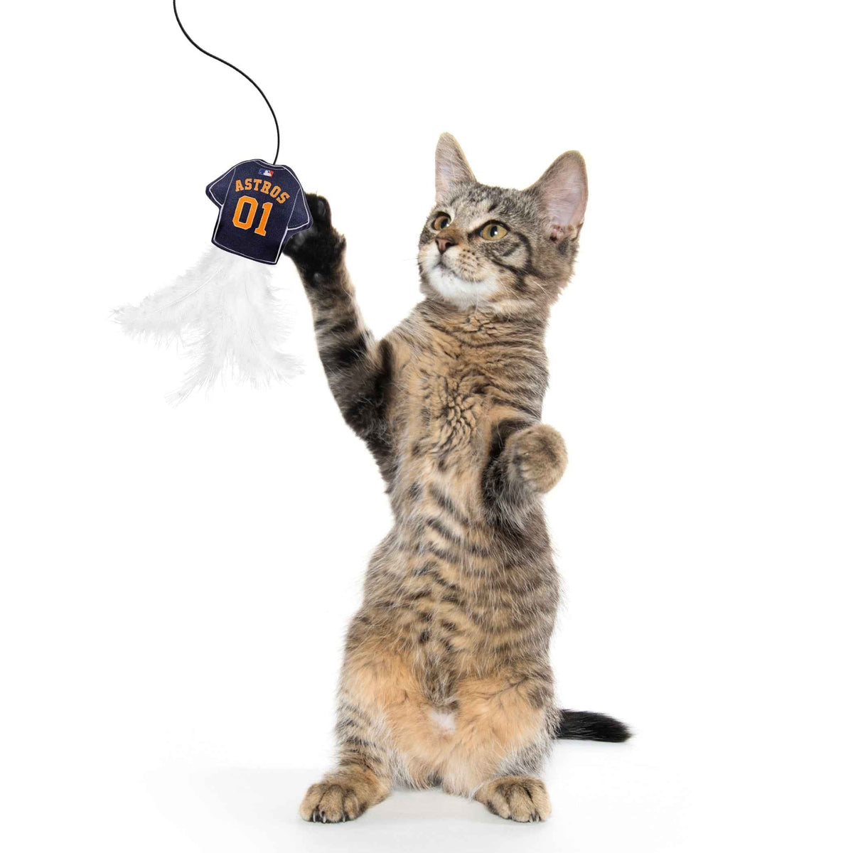 Houston Astros Team Jersey Wand With Catnip