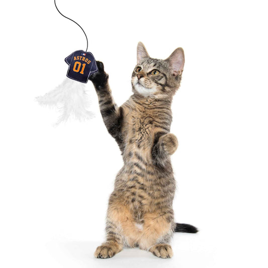 Houston Astros Team Jersey Wand With Catnip