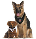 Load image into Gallery viewer, Atlanta United Reversible Pet Bandana
