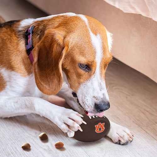 Auburn Treat Dispenser Toy
