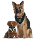 Load image into Gallery viewer, Austin FC Reversible Pet Bandana
