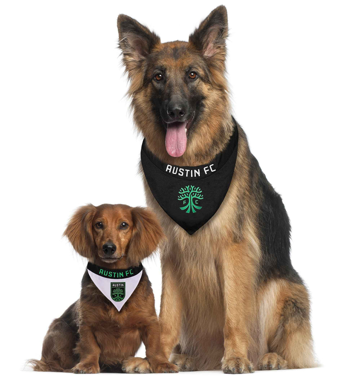 Austin FC Reversible Pet Bandana