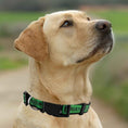 Load image into Gallery viewer, Austin FC Satin Collar
