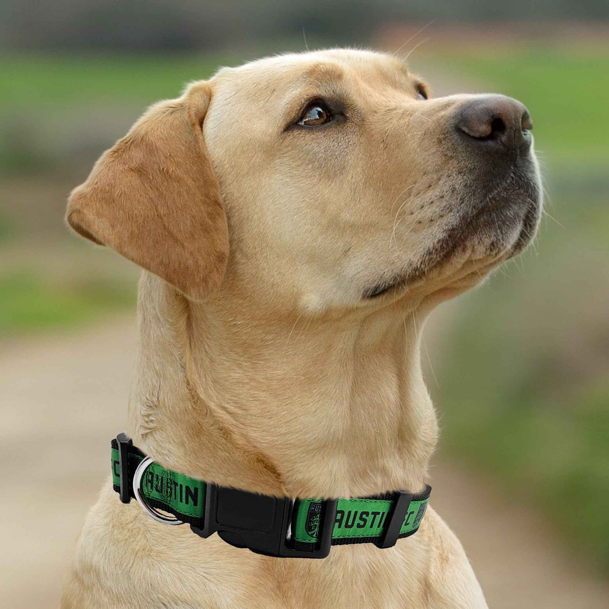 Austin FC Satin Collar