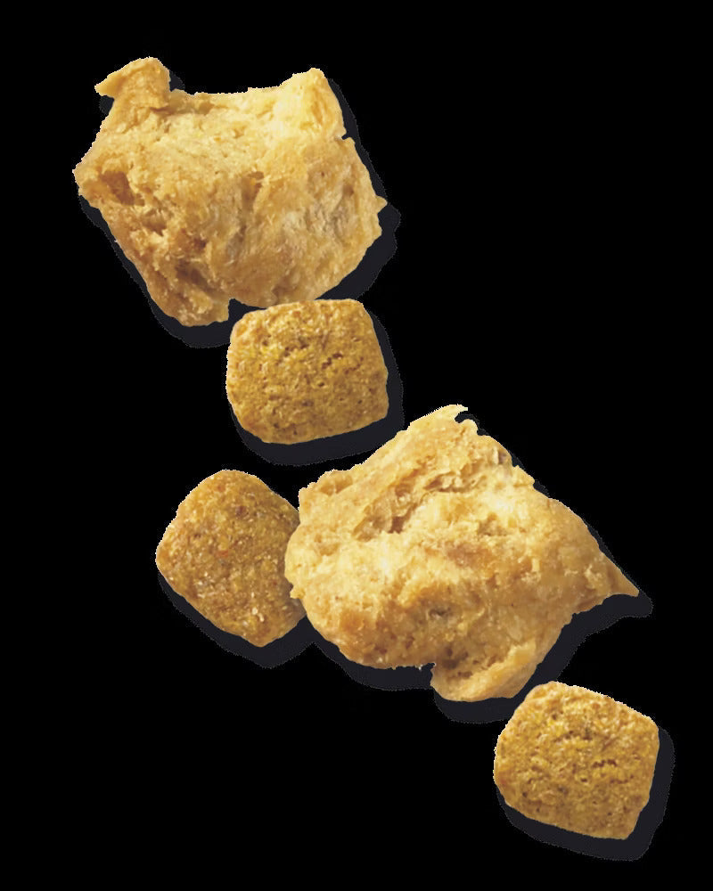 Pro Plan Adult 7+ Complete Essentials Shredded Blend Chicken & Rice Dry Dog Food (6lb) 