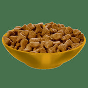 Hill's Science Diet Adult Hairball Control Chicken Recipe Dry Cat Food Bag (3.5lb) 