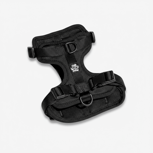 AdventurePro Harness