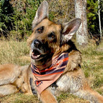 Sport Bandana - Grand Mesa
