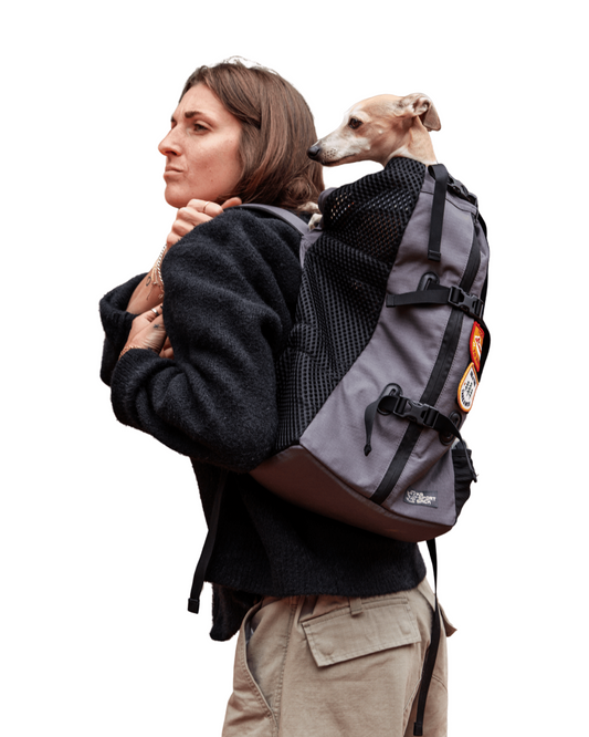 Air 2 | The Original Backpack Dog Carrier