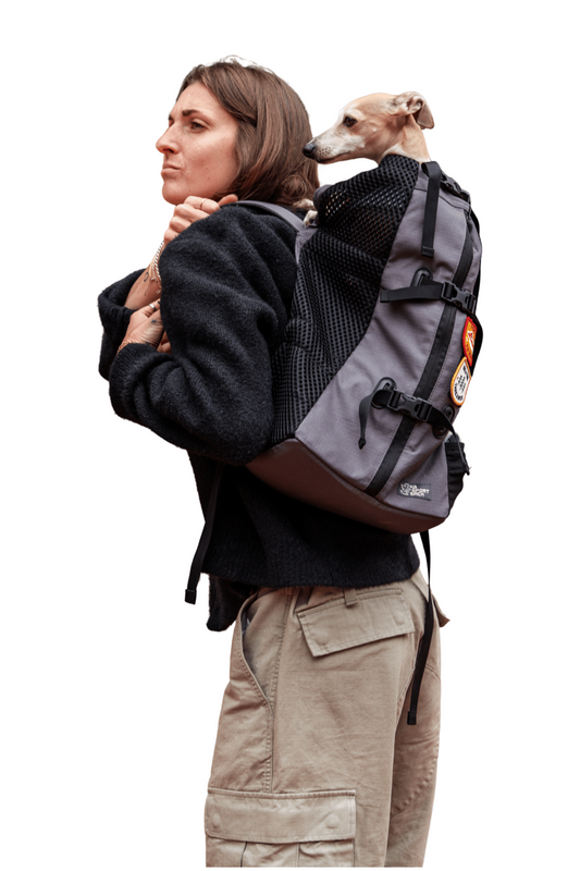 Air 2 | The Original Backpack Dog Carrier