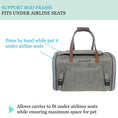 Load image into Gallery viewer, Mr. Peanut's Gold Series Big Apple XL Size Airline Compliant Expandable Pet Carrier
