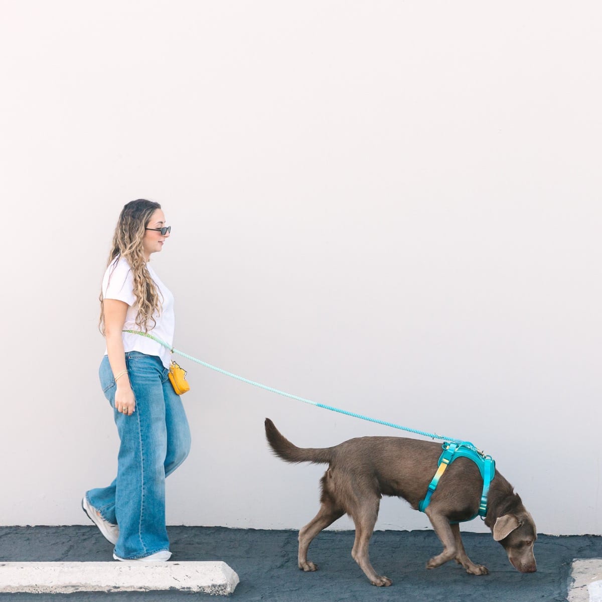 Alexandria Hands-Free Rope Dog Leash
