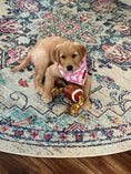 Load image into Gallery viewer, PAWTY FOOTBALL - Southlake Paws
