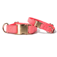 Load image into Gallery viewer, Ambrose Dog Collar
