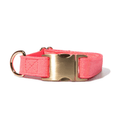 Load image into Gallery viewer, Ambrose Dog Collar
