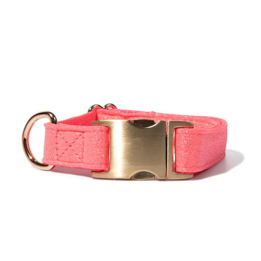 Ambrose Dog Collar