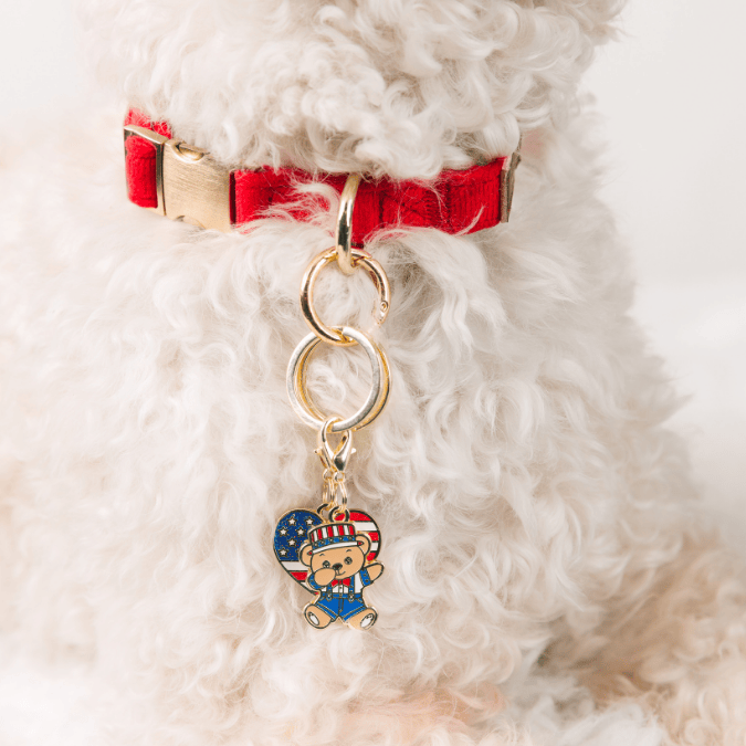 American Heart & Dabbing American Bear Pet Charm Set