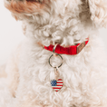 Load image into Gallery viewer, American Heart Pet Charm
