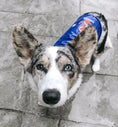 Load image into Gallery viewer, Nantucket Slicker
