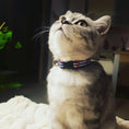 Load image into Gallery viewer, Anchors Aweigh Cat Collar
