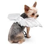 Angel Wing