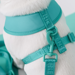 Frenchie Duo Reversible Harness - Aqua