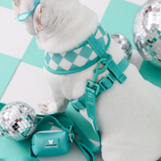 Frenchie Duo Reversible Harness - Aqua
