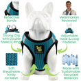 Load image into Gallery viewer, EcoBark Step In Dog Harness - XXXS to Small Breeds- Reflective Soft Mesh Harness for Teacup, Small Dogs and Puppies / Aqua Sport
