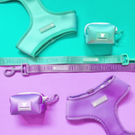 Frenchie Duo Reversible Harness - Aqua