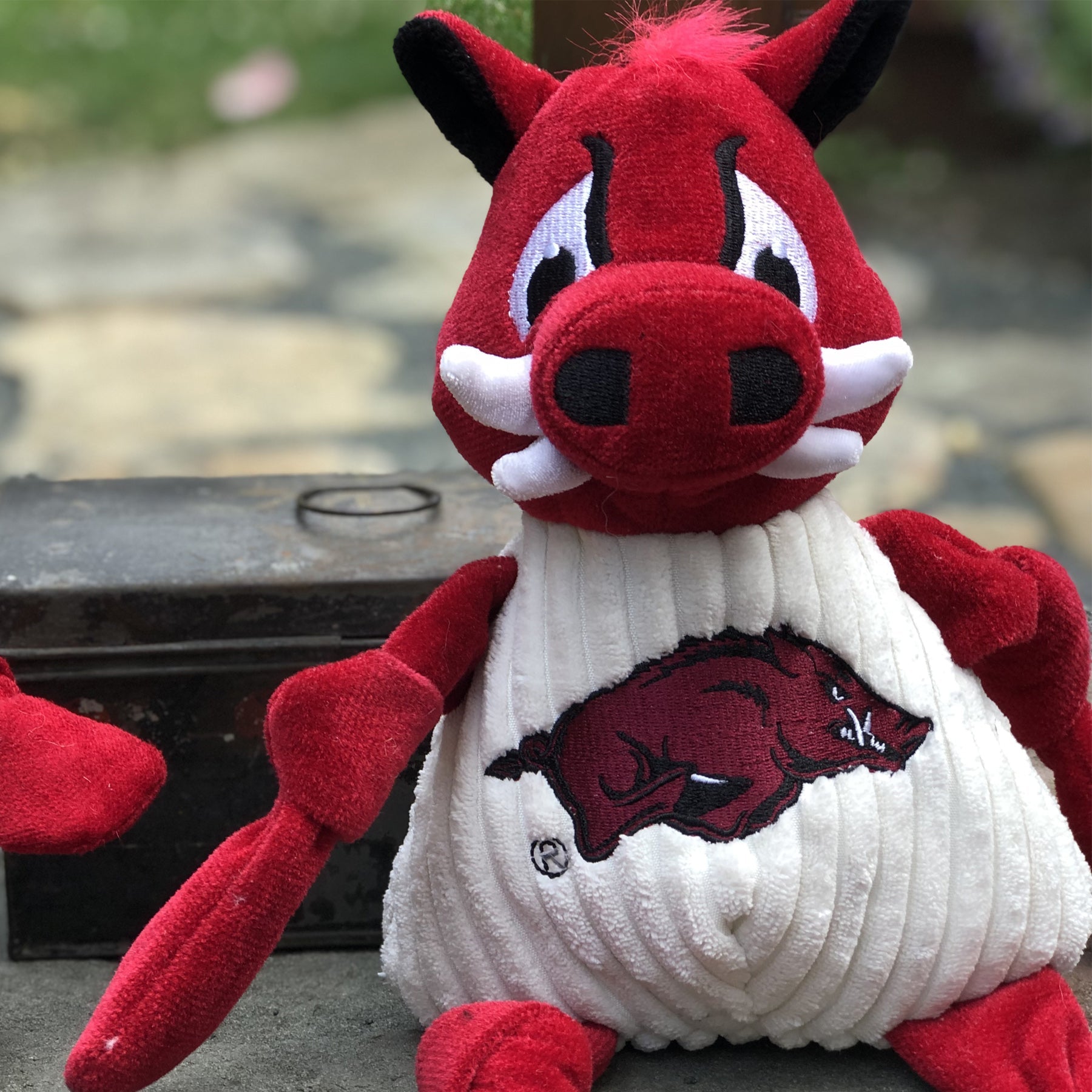 NCAA University of Arkansas, Tusk the Razorback Knottie® Plush Dog Toy - image 5