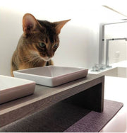 Artisan Double Wood Feeder Fossil