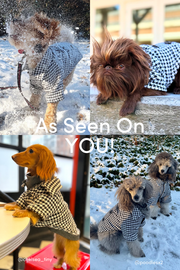 The British Are Coming