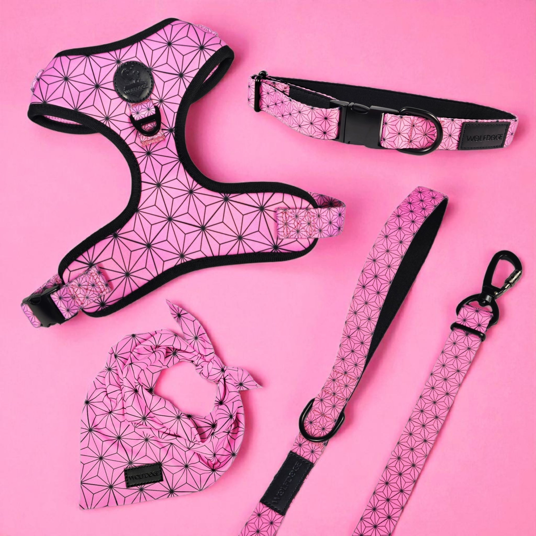 Asanoha Leash - Southlake Paws