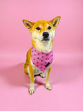 Load image into Gallery viewer, Asanoha Cooling Bandana - Southlake Paws
