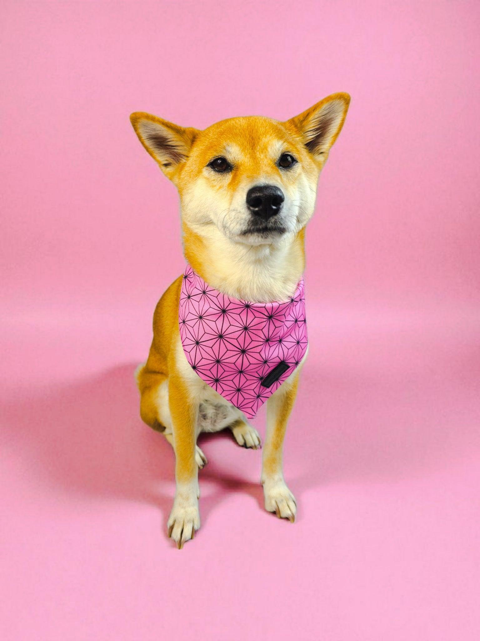 Asanoha Cooling Bandana - Southlake Paws